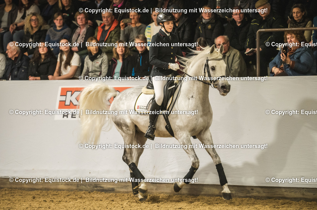 20240302_Hengstvorstellung_Marbach_TOMsPiC_1013-2 | equistock