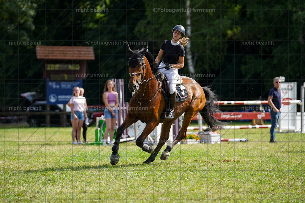 20230701-FAH02321 | Reitturnier Grafing, 2023, Grafing-Aiterndorf, Spribgturnier, Dressurturnier, Bilder, Qualifikation Nürnberger Burgpokal, Fotoagentur Herrmann, Turnierfotografen Bayern, Turnierbilder Bayern, Reitrsportfoto
