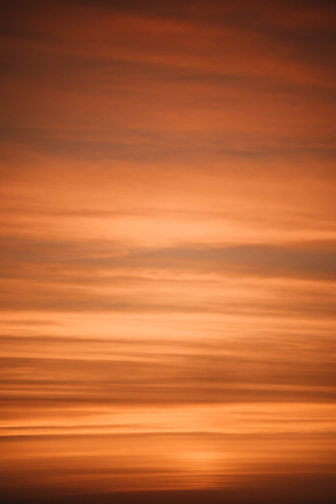 LDF_5635 | Du suchst natürliche und atmosphärische Prints oder Leinwanddrucke? In diesem Shop gibt es alles, nur kein Mainstream. - Realisiert mit Pictrs.com