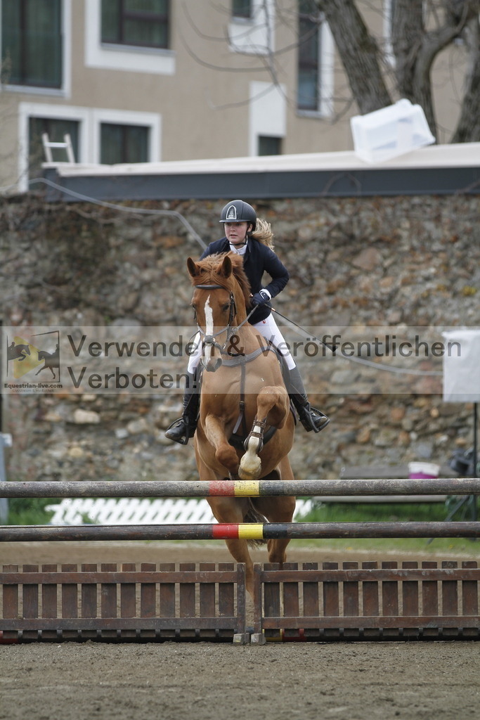 _MG_5866 | equestrian-live-com