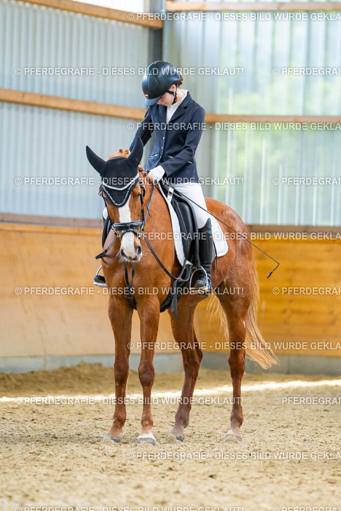 DSC09427 | Pferdegrafie