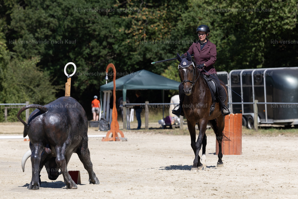 WE_Trail_32_KerstinBernhardt-6 | working equitationturnier fotograf videograf stoibphotography marixx film working equitation deutschland reitsport turnierfotografie eventfotografie equestrian events