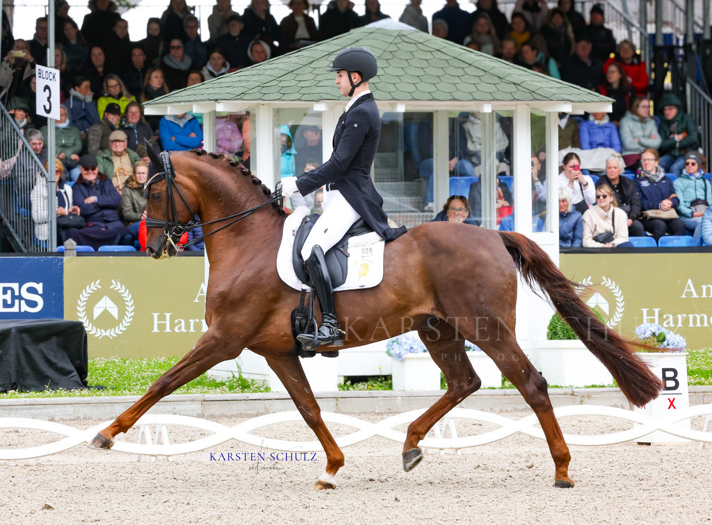 IMG_0118 | Reitsport Reiten