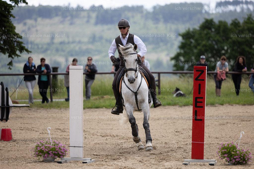 Masterclass_stoibphotography_C2_C8004.CR3 | working equitationturnier fotograf videograf stoibphotography marixx film working equitation deutschland reitsport turnierfotografie eventfotografie equestrian events