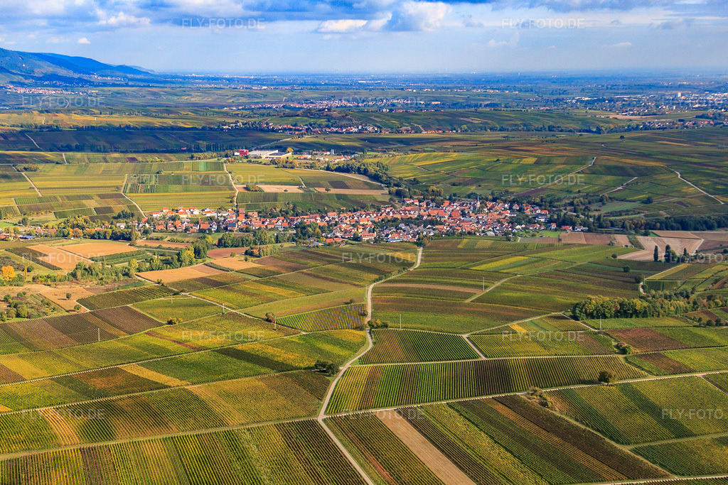 Luftbild: Winzerdorf zwischen Weinbergen von Süden in Göcklingen im Bundesland Rheinland-Pfalz in Deutschland. Foto: IMG_22392.jpg vom 15.10.2009 durch Werner Riehm/FLY-FOTO.de