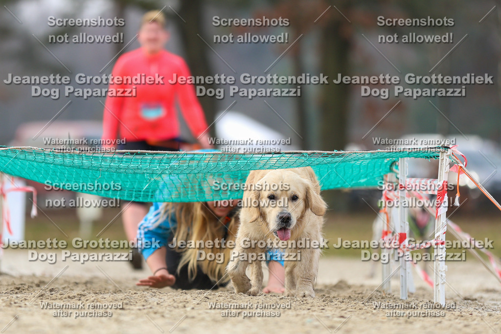 Dog Paparazzi - Strongdog North Mrz26-4664 | Dog Paparazzi Jeanette Grottendiek Fotografie & Videografie - Realisiert mit Pictrs.com