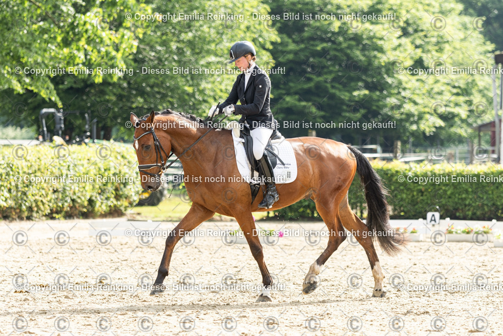 CL5A4353 | Emilia Reinking Fotografie - Realisiert mit Pictrs.com