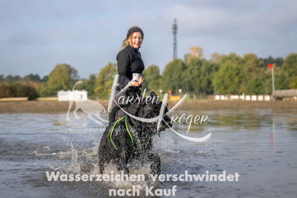 1008_ZZ92018 | kk-dogfotos