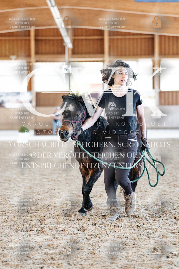 CK906875 | Turnierfotografie Pferdefotografie Trier Rheinland-Pfalz Pferdesport Reitsport Tierfotografie Sportfotografie Pferdevideo Pferdevideografie Equestrianvideography equestrianphotography  - Realisiert mit Pictrs.com
