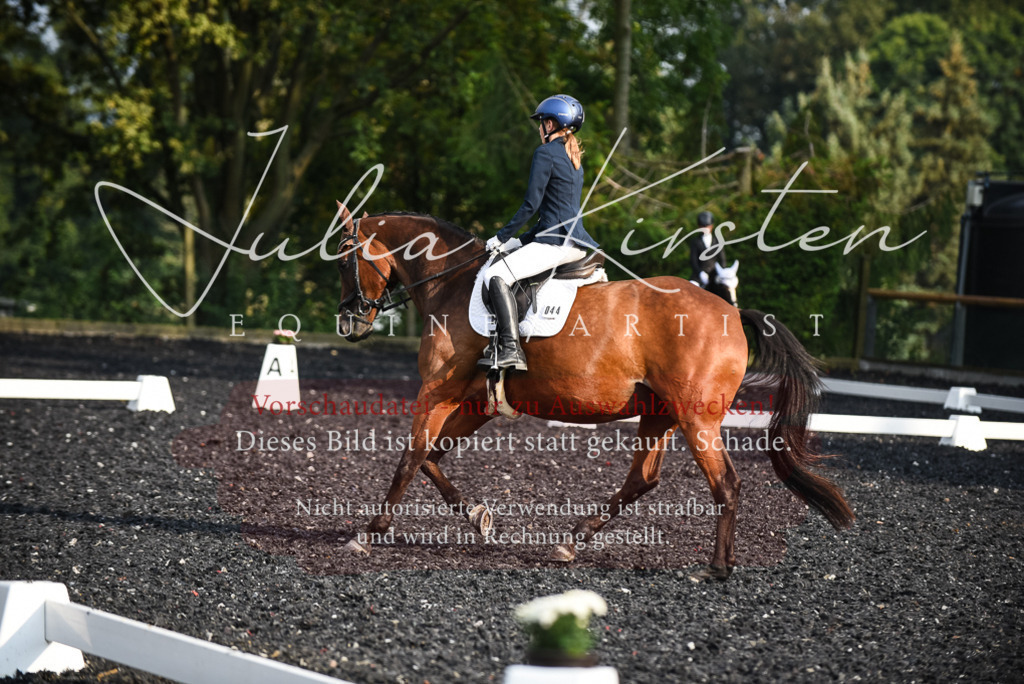 DSC_3363 | Pferde- und Turnierfotografie in Westsachsen. Pferdeportraits, Auftragszeichnungen und intuitive Kunst.