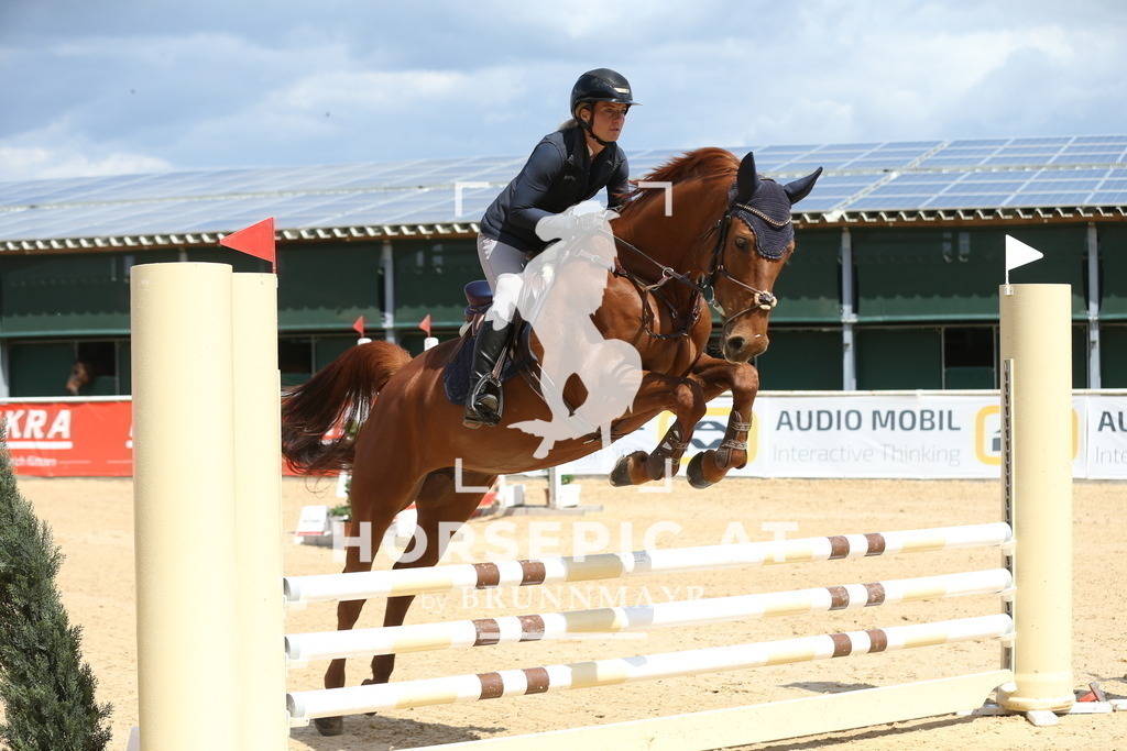 DL2Q5338 | Willkommen bei Brunnmayr - Design & Fotografie – Ihrem Spezialisten für Reitturniere und Pferdeveranstaltungen in Oberösterreich, Salzburg und Bayern! Seit über 17 Jahren sind wir leidenschaftlich dabei.