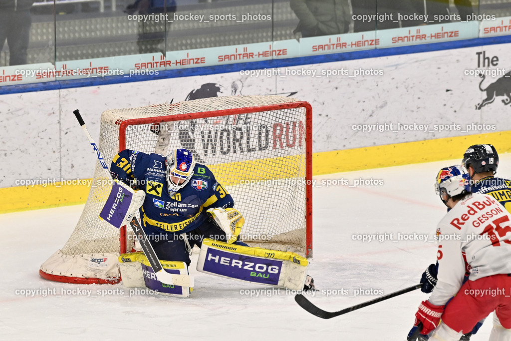 RED BULL HOCKEY JUNIORS vs. EK DIE ZELLER EISBÄREN | #30 Zimmermann Max EK DIE ZELLER EISBÄREN, RED BULL HOCKEY JUNIORS vs. EK DIE ZELLER EISBÄREN, RED BULL HOCKEY JUNIORS vs. EK DIE ZELLER EISBÄREN am 14.01.2025 in Salzburg (Eisarena Salzburg), Austria, (Photo by Bernd Stefan)