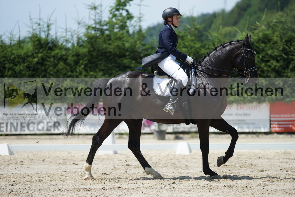 DSC05192 | equestrian-live-com