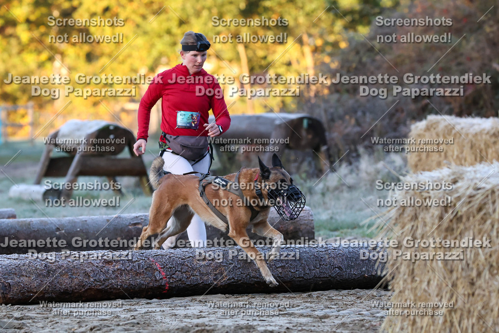 Dog Paparazzi - Strongdog 10-25-342 | Dog Paparazzi Jeanette Grottendiek Fotografie & Videografie - Realisiert mit Pictrs.com