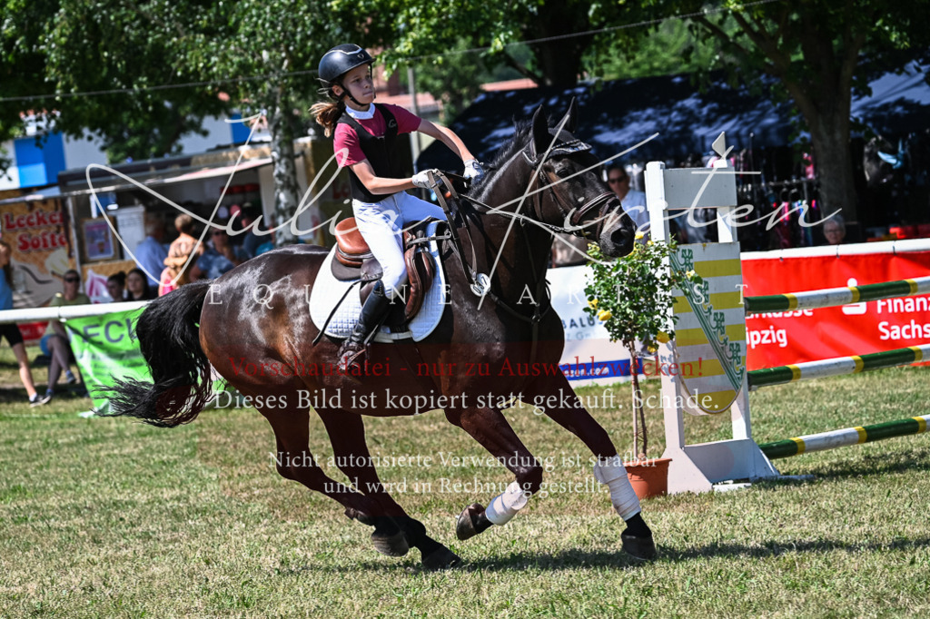 DSC_1152 | Pferde- und Turnierfotografie in Westsachsen. Pferdeportraits, Auftragszeichnungen und intuitive Kunst.