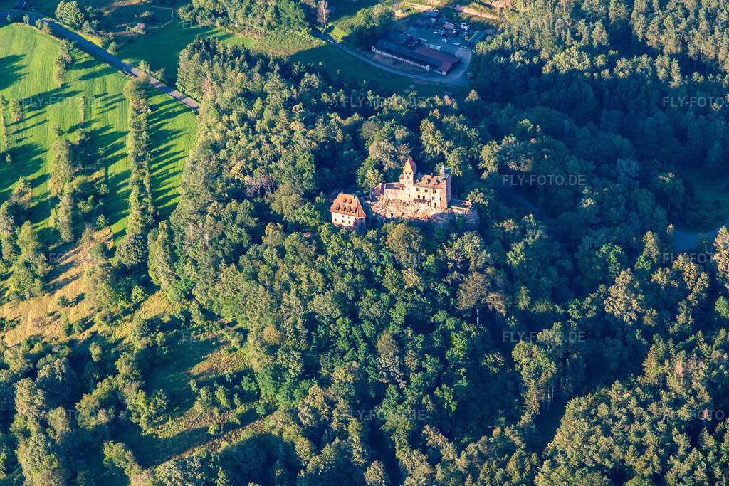 Luftbild: Burg Berwartstein von Süden in Erlenbach bei Dahn im Bundesland Rheinland-Pfalz in Deutschland. Foto: IMG_142359.jpg vom 08.07.2024 durch Werner Riehm/FLY-FOTO.deBURGBERWARTSTEIN.DE