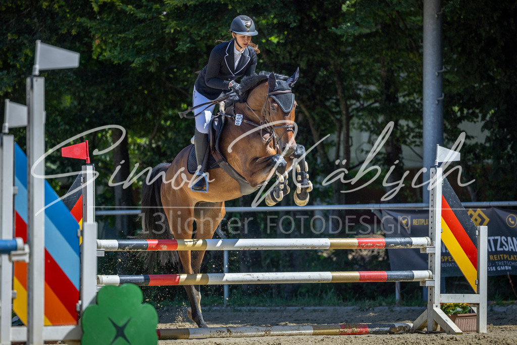 20260704-_3LI7903 | Tierfotografie Pferde, Hunde, Katzen, Haustiere.
Turnierfotografie Reitturniere, Reiten, Springreiten, Dressur in Hanau, dem Main-Kinzig-Kreis und dem Rhein-Main- Gebiet um Frankfurt
