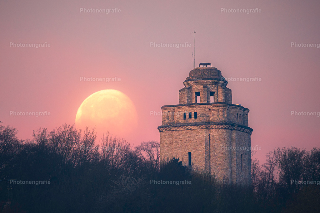 Monduntergang an der Waldeck | Photonengrafie´s Shop - Realisiert mit Pictrs.com