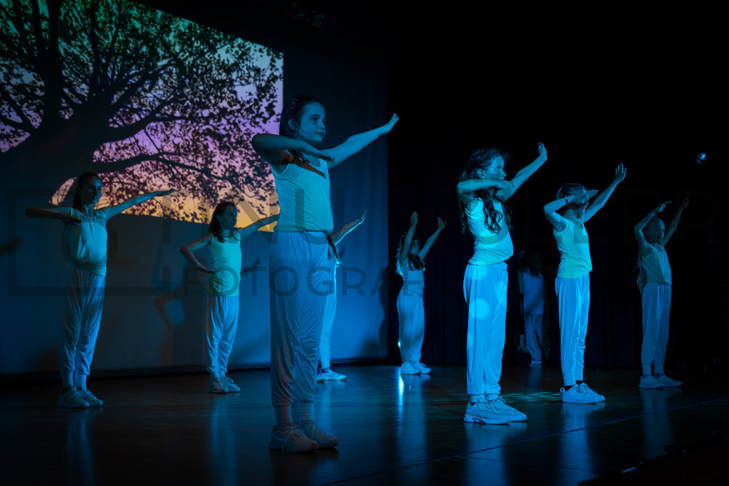 DSC05069 | Tinu Müller Fotografie- Bildershop - Realisiert mit Pictrs.com