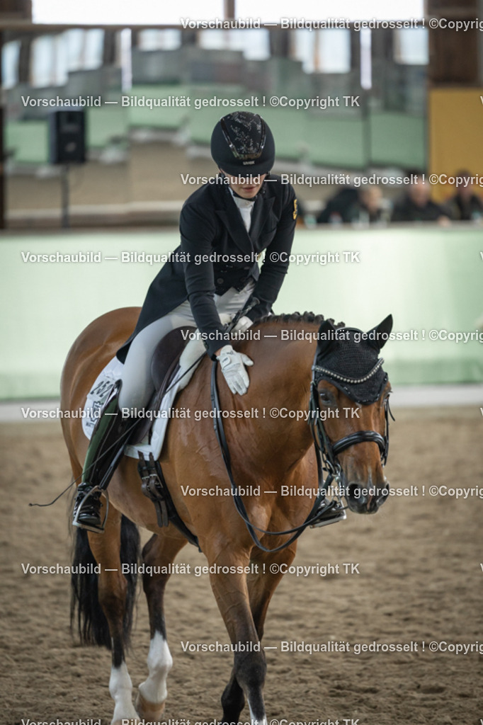 _D5A5984 | Emotionale Pferde- & People-Fotografie rund um Heidelberg, Leimen & Umgebung. Natürliche Fotos von Pferd, Mensch & Familie. Jetzt Termin sichern!