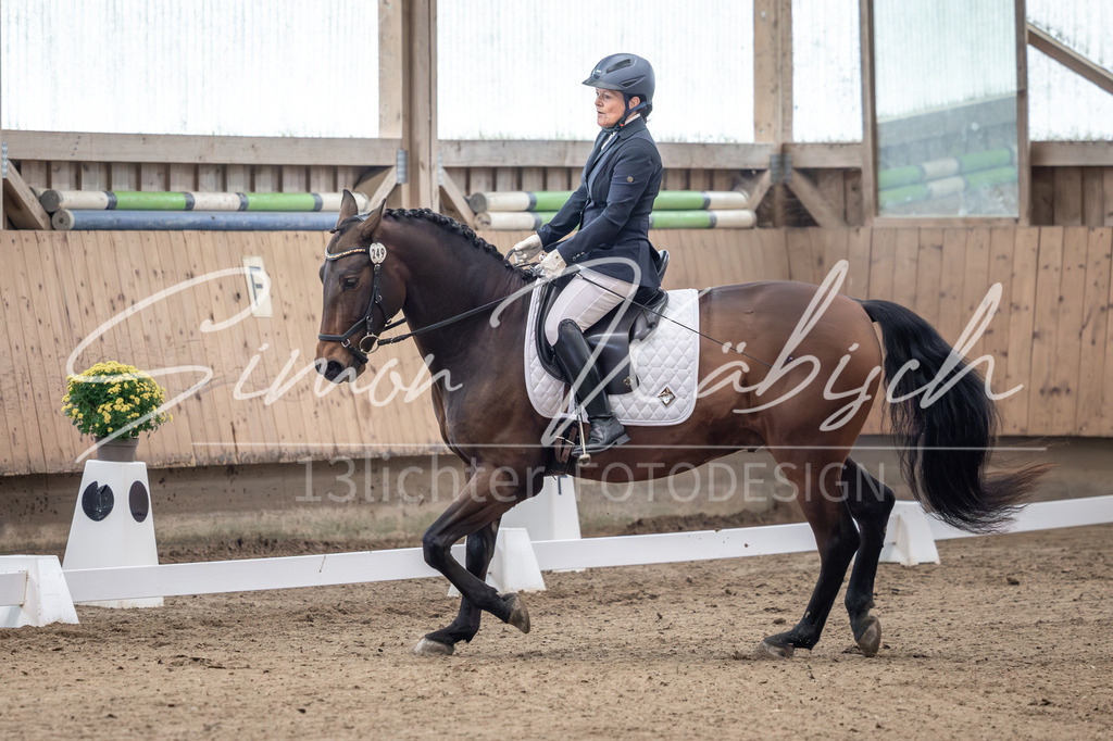 20251011-_3LI9272 | Tierfotografie Pferde, Hunde, Katzen, Haustiere.
Turnierfotografie Reitturniere, Reiten, Springreiten, Dressur in Hanau, dem Main-Kinzig-Kreis und dem Rhein-Main- Gebiet um Frankfurt