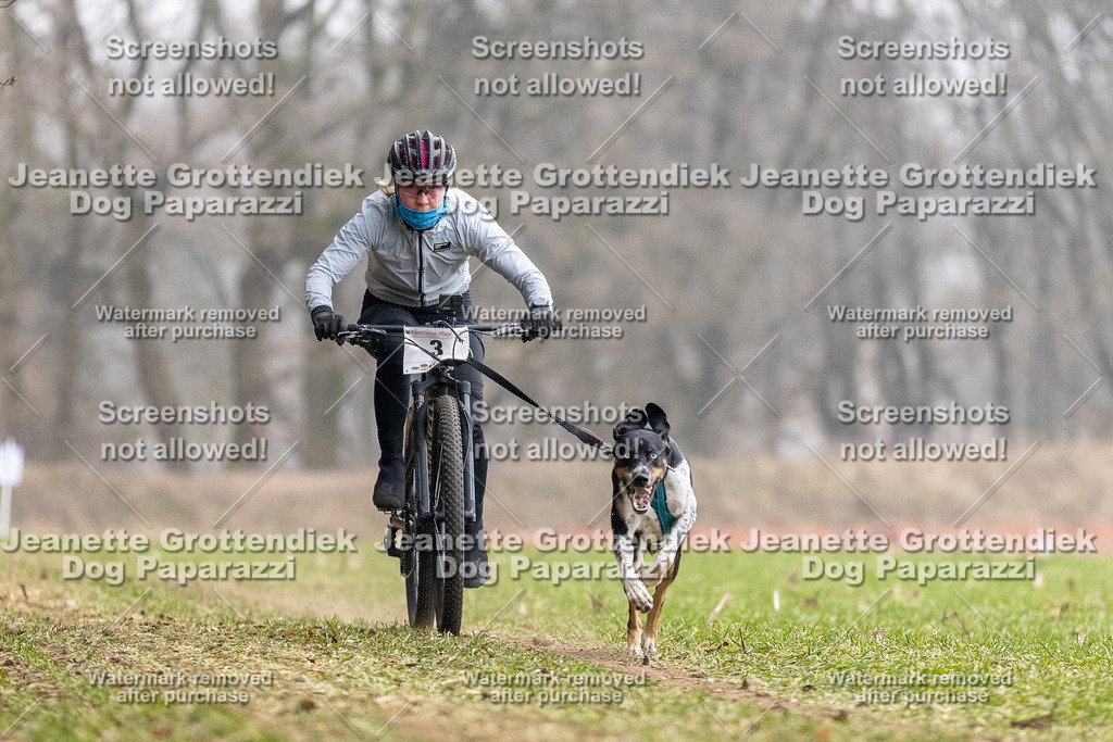 Dog Paparazzi - Plate 2026 | Dog Paparazzi Jeanette Grottendiek Fotografie & Videografie - Realisiert mit Pictrs.com