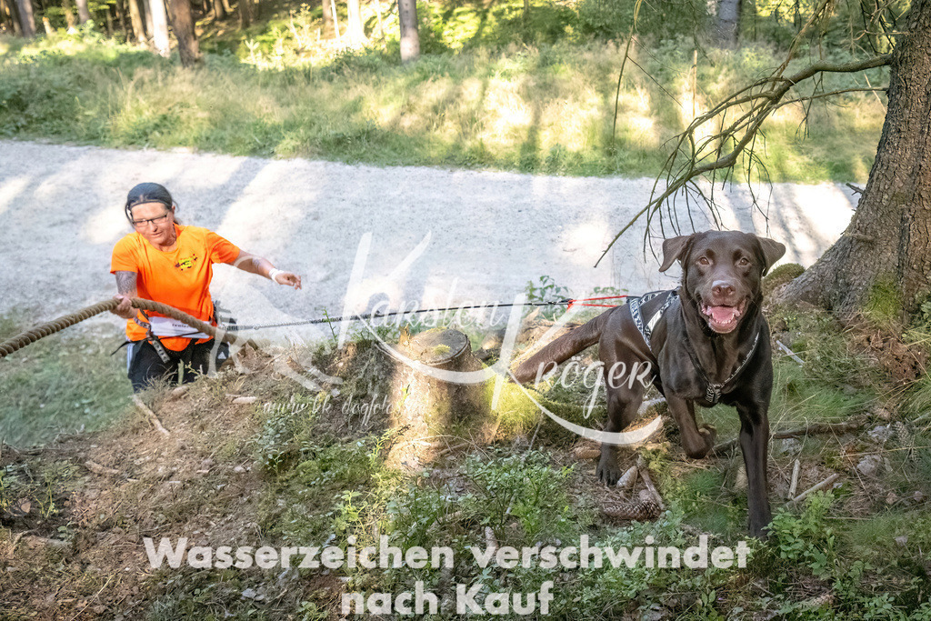 1058_ZZ93884 | kk-dogfotos