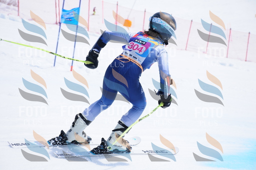 DSC_6706 | holidayphoto