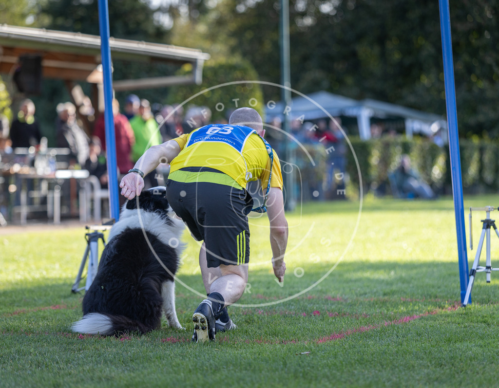 Pfotenfotografie.de_DV3A3178 | Hundefotografie, Tierfotograf, Pfotenfotografie, Fotoshooting Hund, Hunde Portrait, Hundesport, Hundeportraits, Heideshooting, Hunde, Sportfotograf, Hundefotograf, Turnierhundsport, THS, canicross - Realisiert mit Pictrs.com