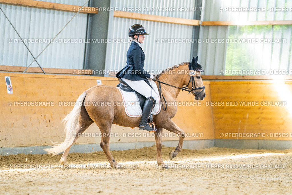 DSC07610 | Pferdegrafie