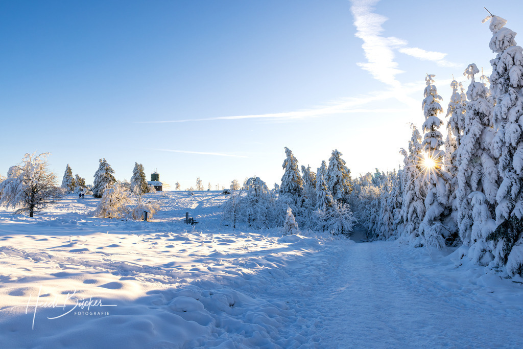 Kahler Asten im Winter 14 | Bilder und Impressionen zu jeder Jahreszeit aus dem Sauerland im Naturpark Sauerland-Rothaargebirge - Realisiert mit Pictrs.com