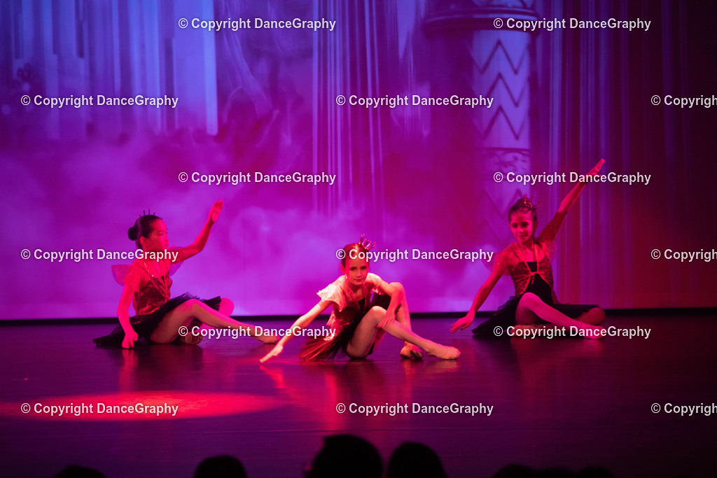 GPHY2143 | DanceGraphy - Realisiert mit Pictrs.com