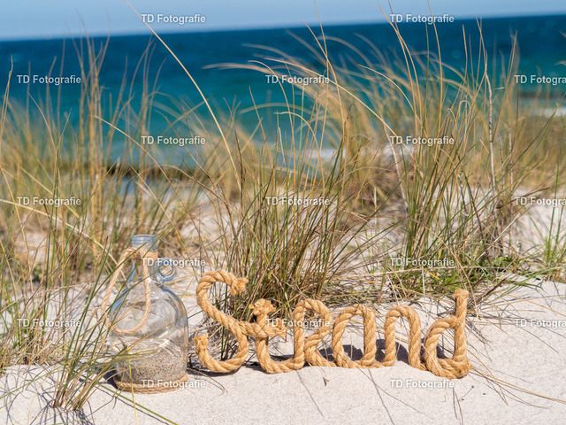 ostesse_natur--2 | OLYMPUS DIGITAL CAMERA - Realisiert mit Pictrs.com