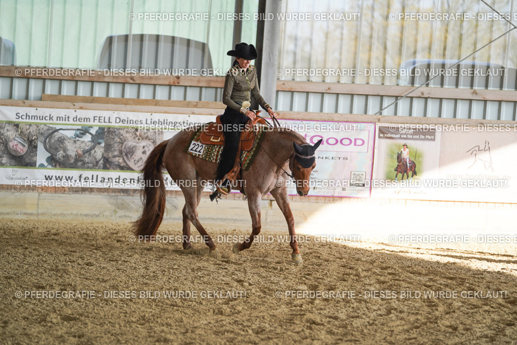 DSC09173 | Pferdegrafie