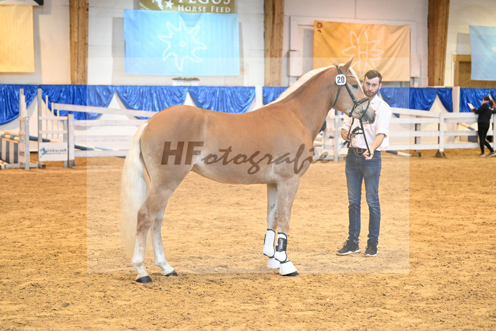 Kat-Nr. 20 nn v. Bugatti_Hock_60220335 | hf-fotografie - Realisiert mit Pictrs.com