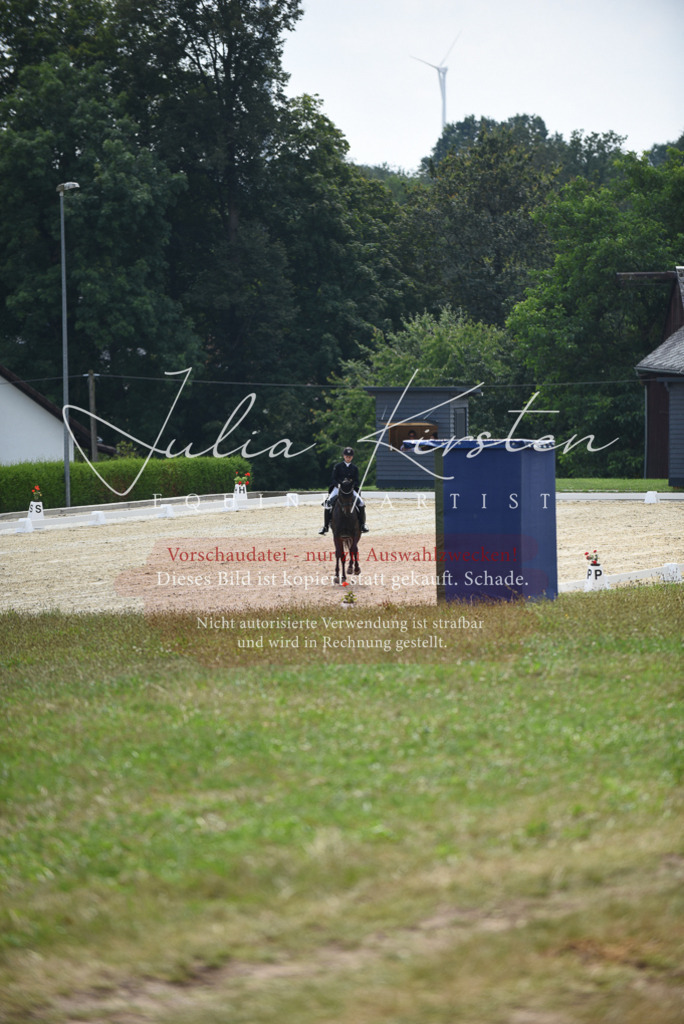 DSC_4271 | Pferde- und Turnierfotografie in Westsachsen. Pferdeportraits, Auftragszeichnungen und intuitive Kunst.