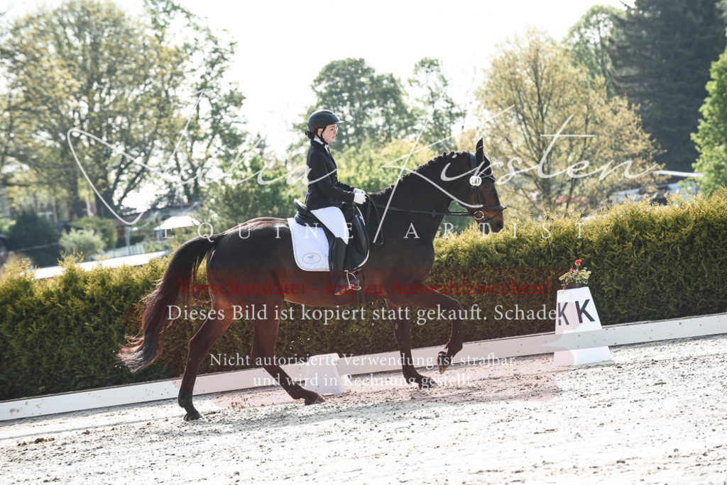 20230518_JK-Röhrsdorf-09-0986 | Pferde- und Turnierfotografie in Westsachsen. Pferdeportraits, Auftragszeichnungen und intuitive Kunst.