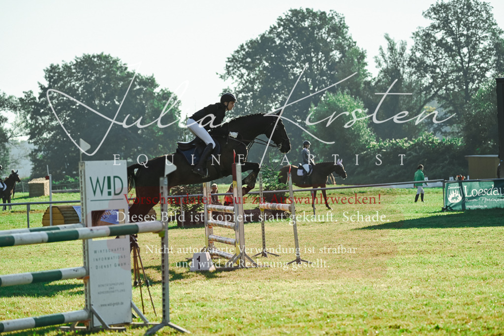 DSC_4318 | Pferde- und Turnierfotografie in Westsachsen. Pferdeportraits, Auftragszeichnungen und intuitive Kunst.