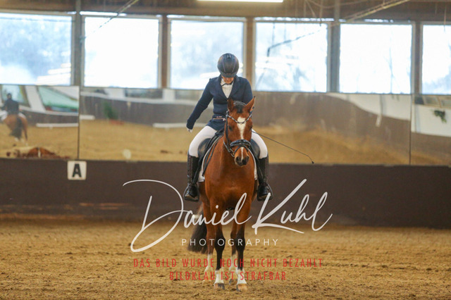 IMG_7512 | Turniersportfotografie; Pferdefotografie; Dressurfotografie