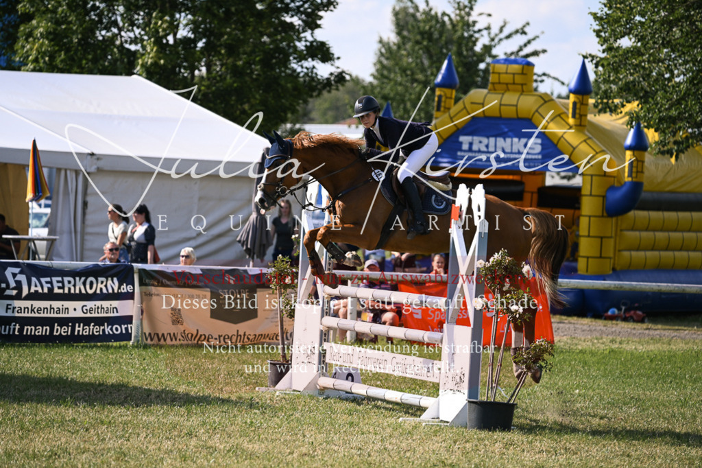 DSC_1200 | Pferde- und Turnierfotografie in Westsachsen. Pferdeportraits, Auftragszeichnungen und intuitive Kunst.