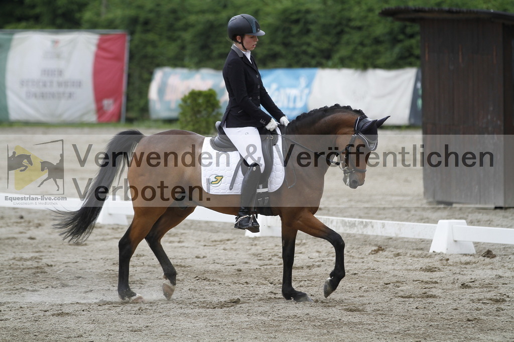 _MG_1721 | equestrian-live-com