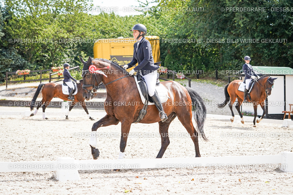 DSC02337 | Pferdegrafie