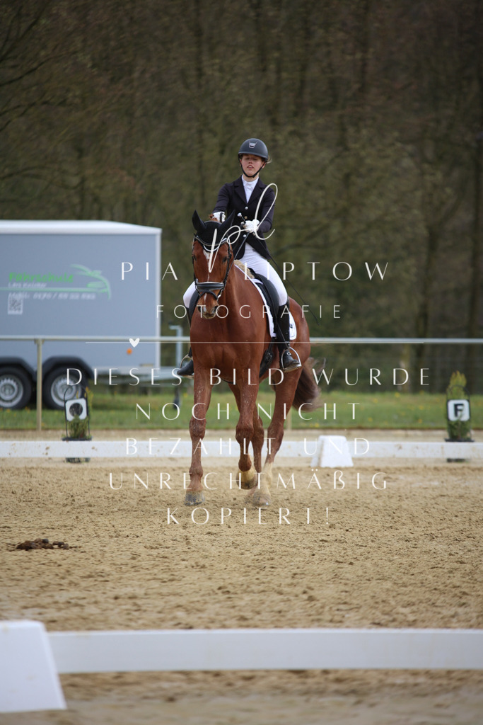 IMGT7338 | pl-fotografie