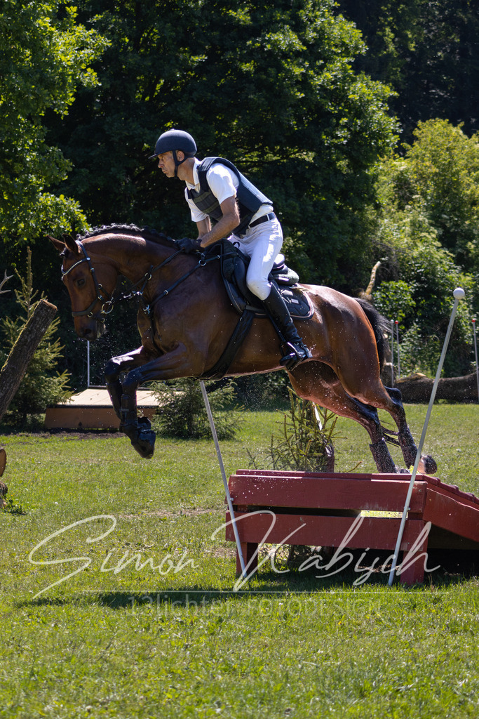 MBFotografie (2) | Tierfotografie Pferde, Hunde, Katzen, Haustiere.
Turnierfotografie Reitturniere, Reiten, Springreiten, Dressur in Hanau, dem Main-Kinzig-Kreis und dem Rhein-Main- Gebiet um Frankfurt