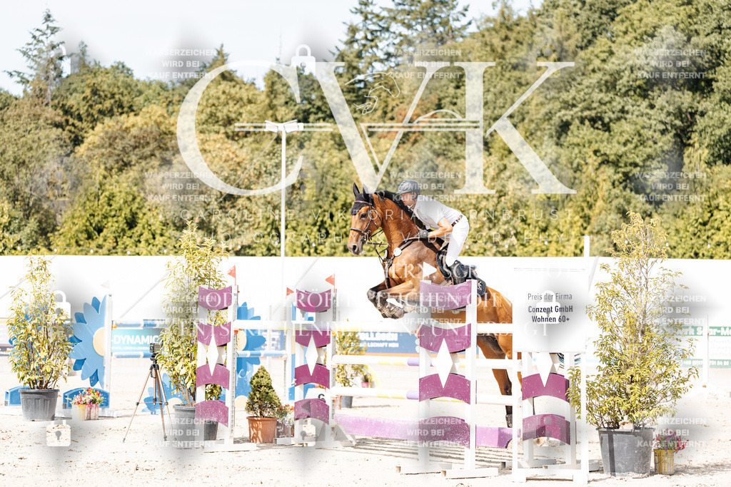 CK905237 | Turnierfotografie Pferdefotografie Trier Rheinland-Pfalz Pferdesport Reitsport Tierfotografie Sportfotografie Pferdevideo Pferdevideografie Equestrianvideography equestrianphotography  - Realisiert mit Pictrs.com