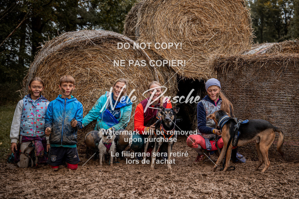 nelerasche_Hunsrück_So11-12_243 | nelerasche