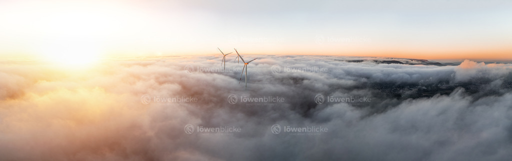 Windräder auf der Kuchalb bei Sonnenaufgang | löwenblicke | shop