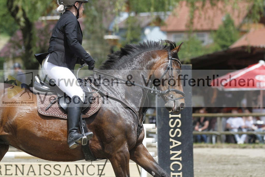 _MG_5203 | equestrian-live-com