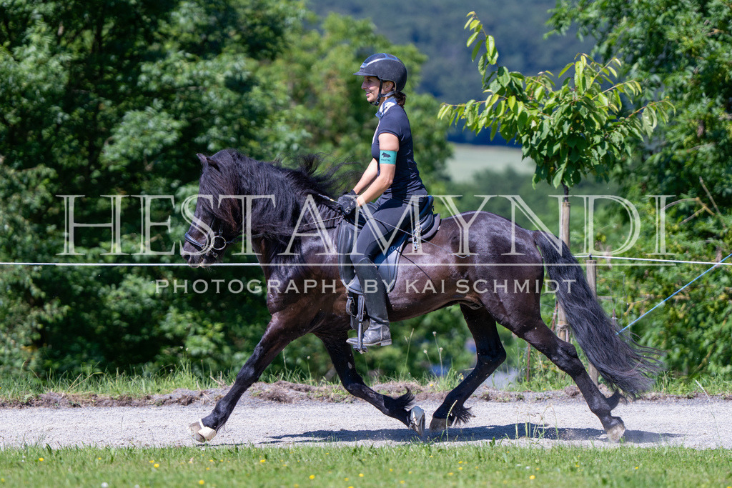 KAI09906 | Ihr sucht einen Fotografen für eure nächste OSI? Ich begleite auch euer Turnier für Islandpferde fotografisch.  - Realisiert mit Pictrs.com
