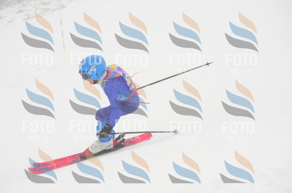 C1603 | holidayphoto